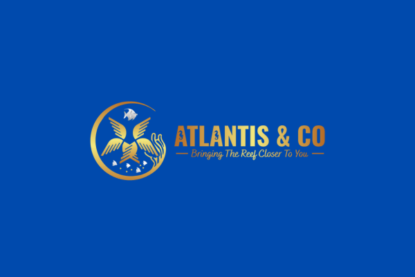 Atlantis & Co