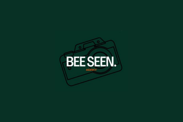 BEE SEEN SOCIAL MEDIA AGENCY