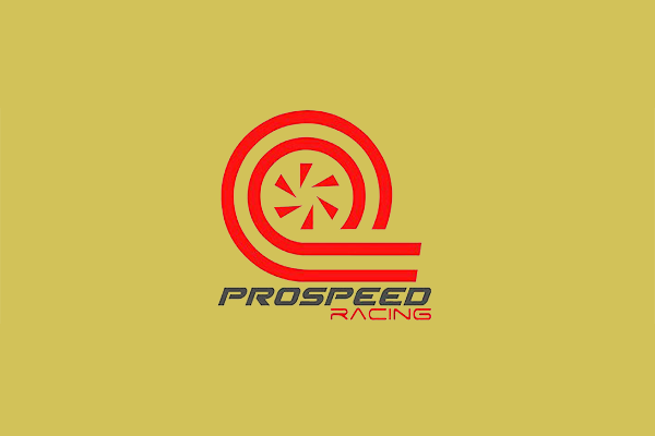 Pro Speed Racing